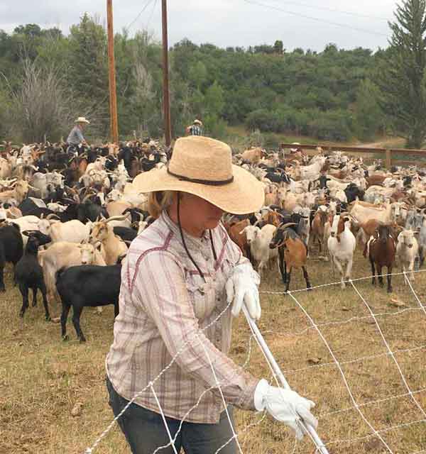 goatapelli-our-work-multi-day-intensives goatapelli foundation our work multi-day intensives