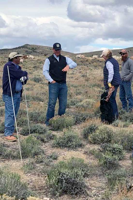 about-us-goatapelli-foundation-systematic-goat-grazing-training about us goatapelli foundation. systematic goat grazing training