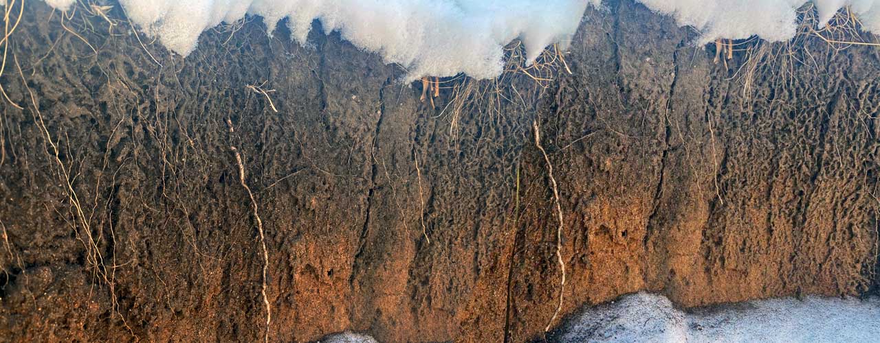 the dirt on soil saving our soils for future generationns