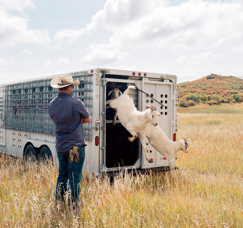 land-stewardship-training-goatapelli-foundation-training-offers land stewardship training goatapelli foundation